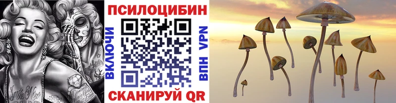 Купить закладки Инза Галлюциногенные грибы MAGIC MUSHROOMS
